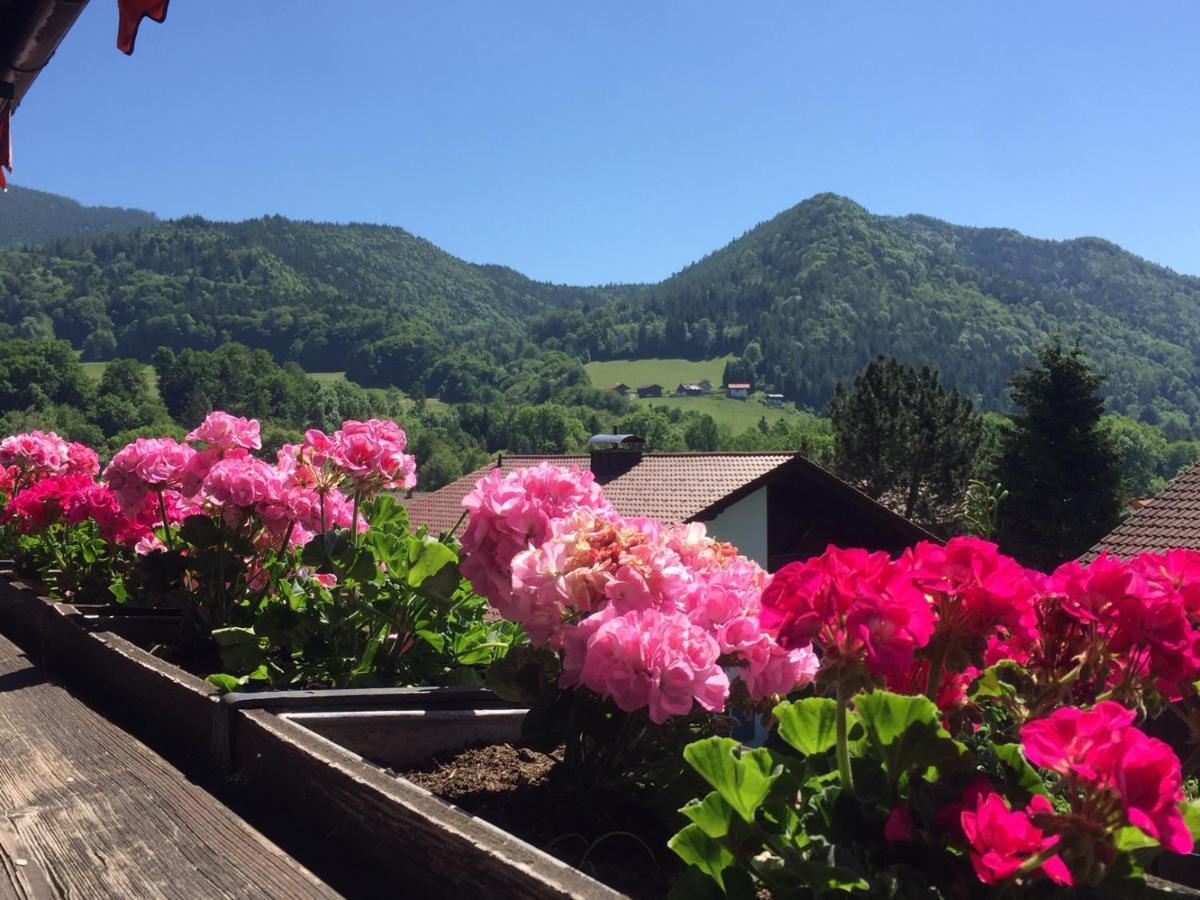 Ferienwohnungen Gaestehaus Sonnenkreis Ruhpolding Luaran gambar