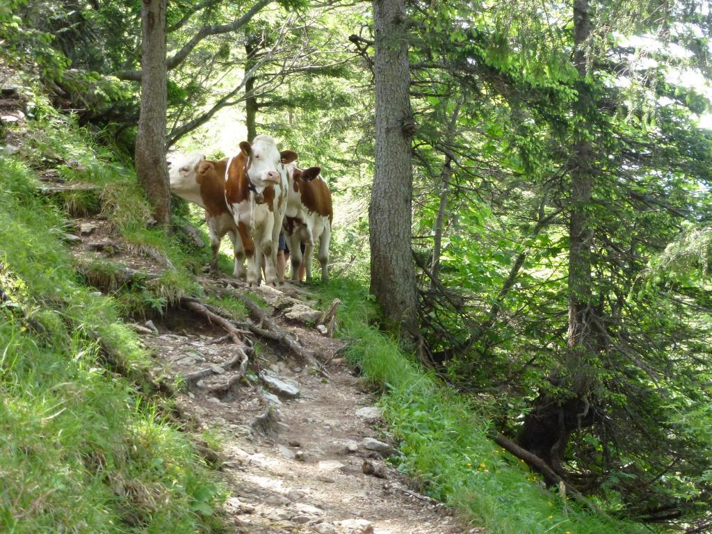 Ferienwohnungen Gaestehaus Sonnenkreis Ruhpolding Luaran gambar